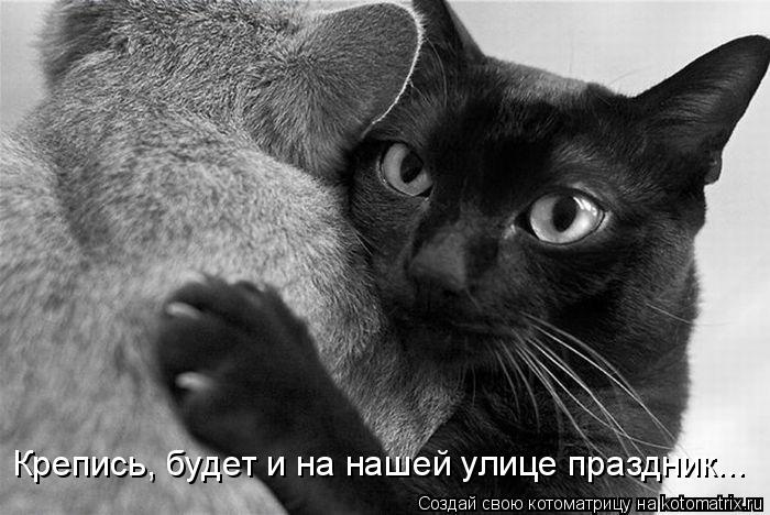 Крепись, будет и на нашей улице праздник...... Котоматрица: Крепись, будет и на нашей улице праздник...