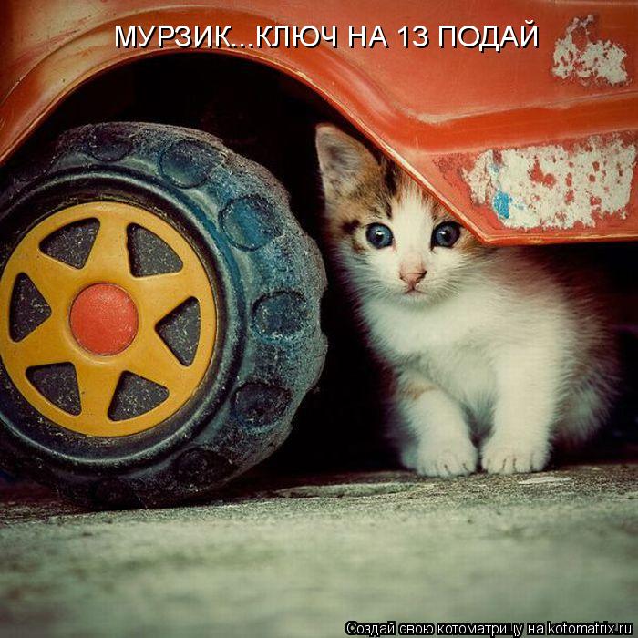 МУРЗИК...КЛЮЧ НА 13 ПОДАЙ... Котоматрица: МУРЗИК...КЛЮЧ НА 13 ПОДАЙ