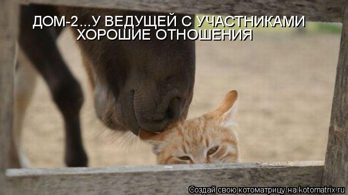 ДОМ-2...У ВЕДУЩЕЙ С УЧАСТНИКАМИ ХОРОШИЕ ОТНОШЕНИЯ... Котоматрица: ДОМ-2...У ВЕДУЩЕЙ С УЧАСТНИКАМИ ХОРОШИЕ ОТНОШЕНИЯ