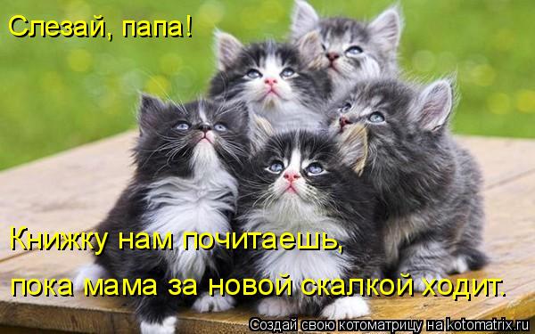 Слезай, папа! Книжку нам почитаешь, пока мама за новой скалкой ходит.... Котоматрица: Слезай, папа! Книжку нам почитаешь, пока мама за новой скалкой ходит.