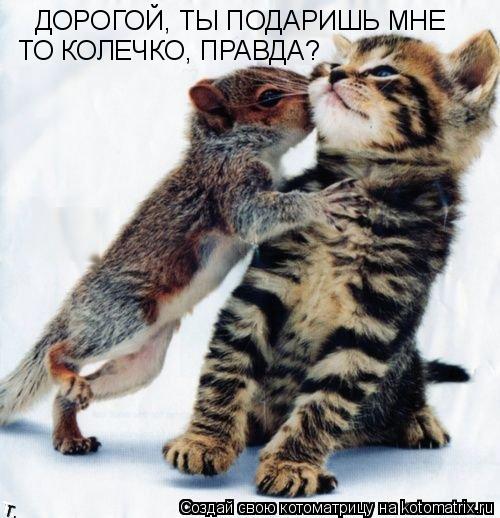 ДОРОГОЙ, ТЫ ПОДАРИШЬ МНЕ ТО КОЛЕЧКО, ПРАВДА?... Котоматрица: ДОРОГОЙ, ТЫ ПОДАРИШЬ МНЕ ТО КОЛЕЧКО, ПРАВДА?