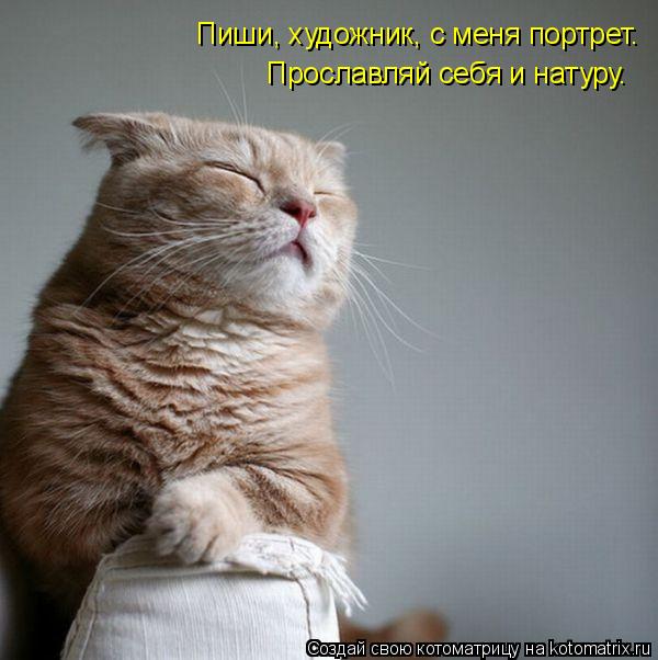 Пиши, художник, с меня портрет. Прославляй себя и натуру.... Котоматрица: Пиши, художник, с меня портрет. Прославляй себя и натуру.