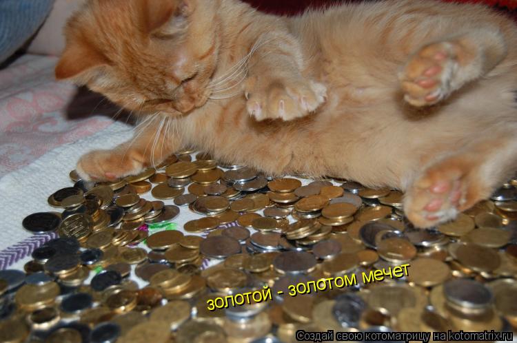 золотой - золотом мечет... Котоматрица: золотой - золотом мечет