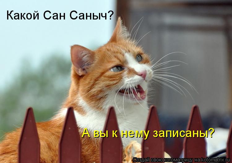 Какой Сан Саныч? А вы к нему записаны?... Котоматрица: Какой Сан Саныч? А вы к нему записаны?