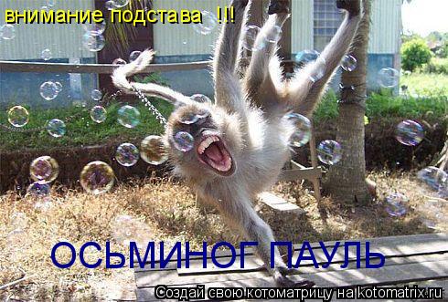 внимание подстава !!! ОСЬМИНОГ ПАУЛЬ... Котоматрица: внимание подстава !!! ОСЬМИНОГ ПАУЛЬ