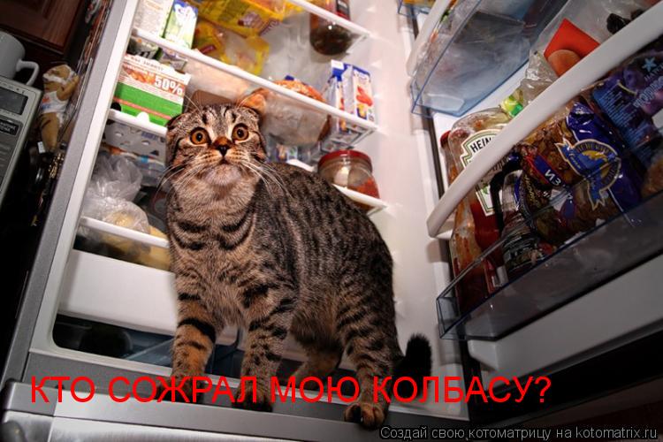 КТО СОЖРАЛ МОЮ КОЛБАСУ?... Котоматрица: КТО СОЖРАЛ МОЮ КОЛБАСУ?