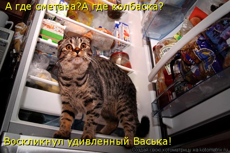 А где сметана?А где колбаска? Воскликнул удивленный Васька!... Котоматрица: А где сметана?А где колбаска? Воскликнул удивленный Васька!