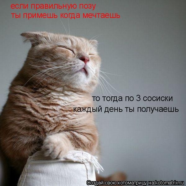 если правильную позу ты примешь когда мечтаешь то тогда по 3 сосиски каждый день ты получаешь... Котоматрица: если правильную позу ты примешь когда мечтаешь то тогда по 3 сосиски каждый день ты получаешь