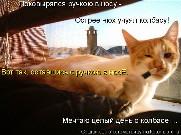 Поковырялся ручкою в носу - Острее нюх учуял колбасу! Вот так, оставшись с ручкою в носЕ, Мечтаю цел... Котоматрица: Поковырялся ручкою в носу - Острее нюх учуял колбасу! Вот так, оставшись с ручкою в носЕ, Мечтаю целый день о колбасе!...