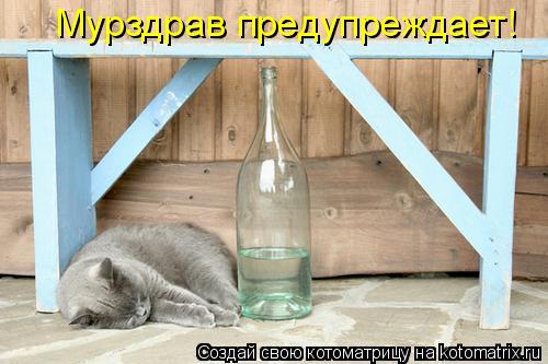 Мурздрав предупреждает!... Котоматрица: Мурздрав предупреждает!
