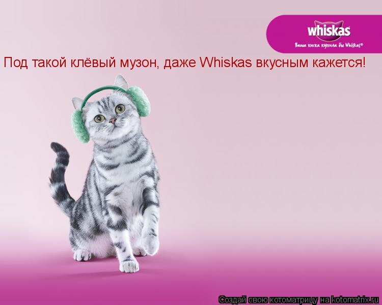 Под такой клёвый музон, даже Whiskas вкусным кажется!... Котоматрица: Под такой клёвый музон, даже Whiskas вкусным кажется!