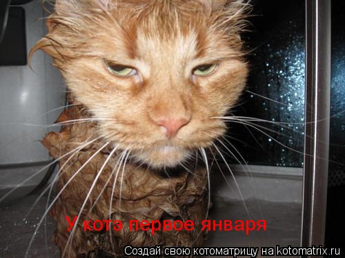 У котэ первое января... Котоматрица: У котэ первое января