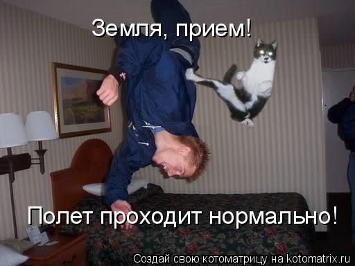 Земля, прием! Полет проходит нормально!... Котоматрица: Земля, прием! Полет проходит нормально!