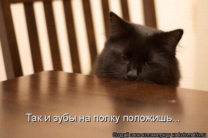 Так и зубы на полку положишь...... Котоматрица: Так и зубы на полку положишь...