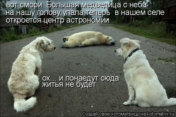 вот смори Большая медведица с неба на нашу голову упала,теперь в нашем селе откроется центр астр... Котоматрица: вот смори Большая медведица с неба на нашу голову упала,теперь в нашем селе откроется центр астрономии ох... и понаедут сюда житья не буд