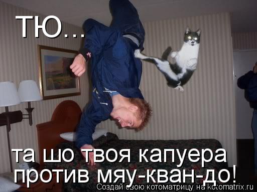 Котоматрица: ТЮ... та шо твоя капуера против мяу-кван-до!