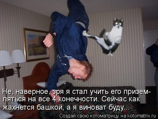 Не, наверное, зря я стал учить его призем- ляться на все 4 конечности. Сейчас как жахнется башкой, а ... Котоматрица: Не, наверное, зря я стал учить его призем- ляться на все 4 конечности. Сейчас как жахнется башкой, а я виноват буду...
