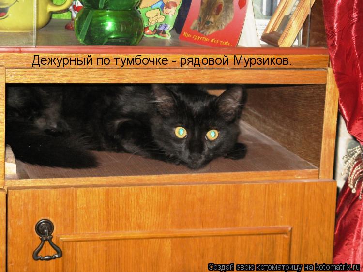 Дежурный по тумбочке - рядовой Мурзиков.... Котоматрица: Дежурный по тумбочке - рядовой Мурзиков.
