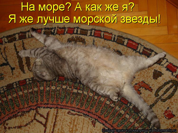 Котоматрица: На море? А как же я?  Я же лучше морской звезды!