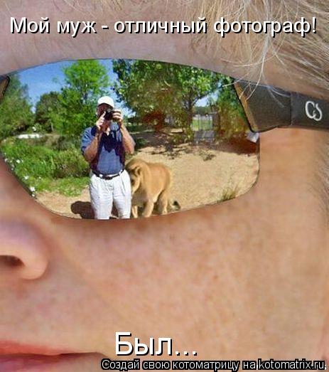 Мой муж - отличный фотограф! Был...... Котоматрица: Мой муж - отличный фотограф! Был...