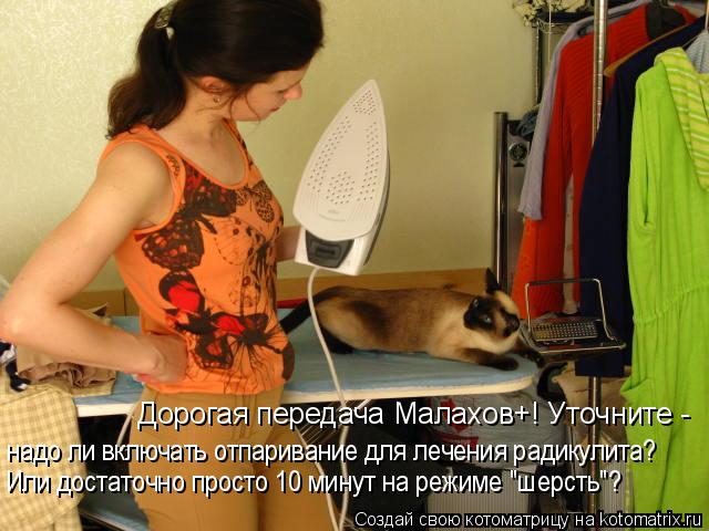Котоматрица: Дорогая передача Малахов+! Уточните -  надо ли включать отпаривание для лечения радикулита? Или достаточно просто 10 минут на режиме "шерсть"?