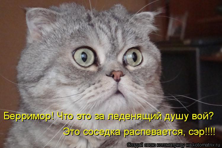 Берримор! Что это за леденящий душу вой? Это соседка распевается, сэр!!!!... Котоматрица: Берримор! Что это за леденящий душу вой? Это соседка распевается, сэр!!!!