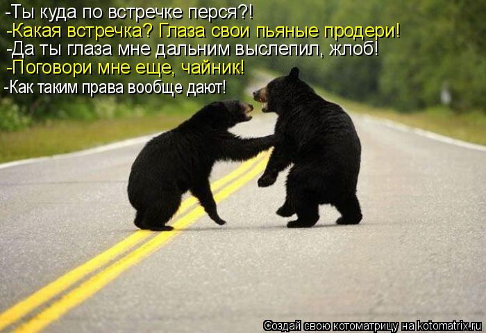 -Ты куда по встречке перся?! -Какая встречка? Глаза свои пьяные продери! -Да ты глаза мне дальним выс... Котоматрица: -Ты куда по встречке перся?! -Какая встречка? Глаза свои пьяные продери! -Да ты глаза мне дальним выслепил, жлоб! -Поговори мне еще, чайник! -Как