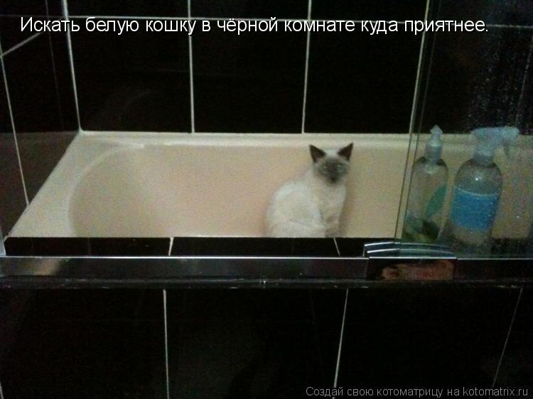 Искать белую кошку в чёрной комнате куда приятнее.... Котоматрица: Искать белую кошку в чёрной комнате куда приятнее.