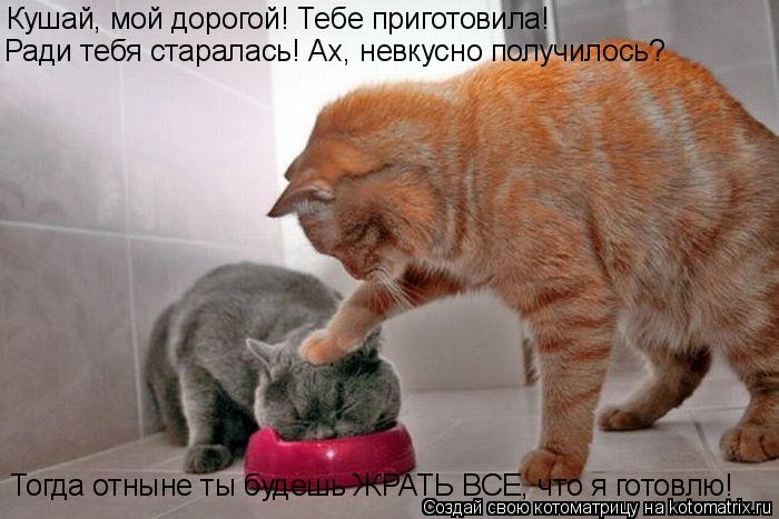 Кушай, мой дорогой! Тебе приготовила! Ради тебя старалась! Ах, невкусно получилось? Тогда отныне ты б... Котоматрица: Кушай, мой дорогой! Тебе приготовила! Ради тебя старалась! Ах, невкусно получилось? Тогда отныне ты будешь ЖРАТЬ ВСЕ, что я готовлю!