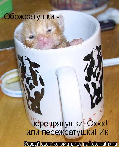 Обожратушки - перепрятушки! Оххх! или пережратушки! Ик!... Котоматрица: Обожратушки - перепрятушки! Оххх! или пережратушки! Ик!