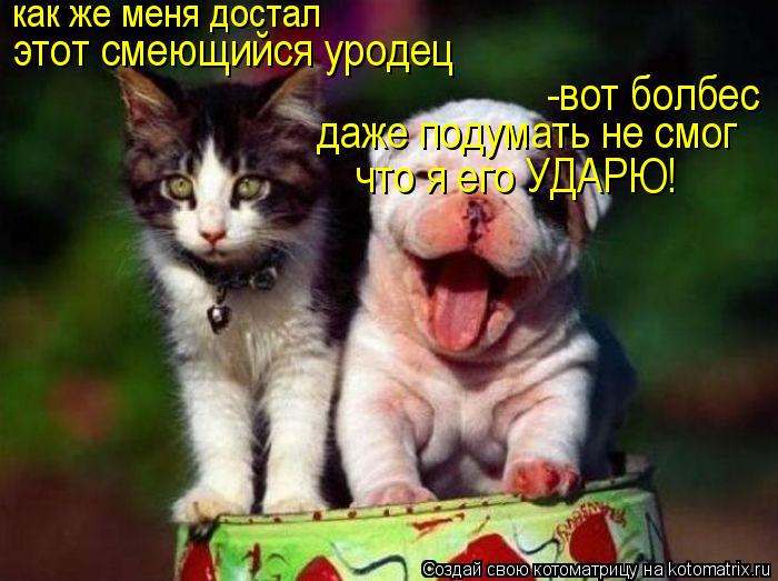 как же меня достал этот смеющийся уродец -вот болбес даже подумать не смог что я его УДАРЮ!... Котоматрица: как же меня достал этот смеющийся уродец -вот болбес даже подумать не смог что я его УДАРЮ!