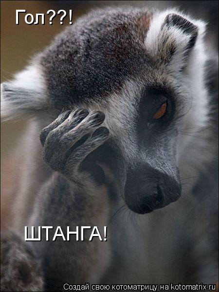 Гол??! ШТАНГА!... Котоматрица: Гол??! ШТАНГА!