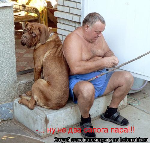 -... ну не два сапога пара!!!... Котоматрица: -... ну не два сапога пара!!!