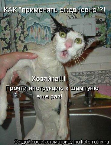 КАК "применять ежедневно"?! Хозяйка!!! Прочти инструкцию к шампуню еще раз!... Котоматрица: КАК "применять ежедневно"?! Хозяйка!!! Прочти инструкцию к шампуню еще раз!