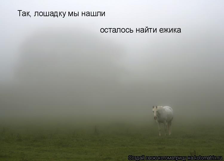 Так, лошадку мы нашли осталось найти ежика... Котоматрица: Так, лошадку мы нашли осталось найти ежика