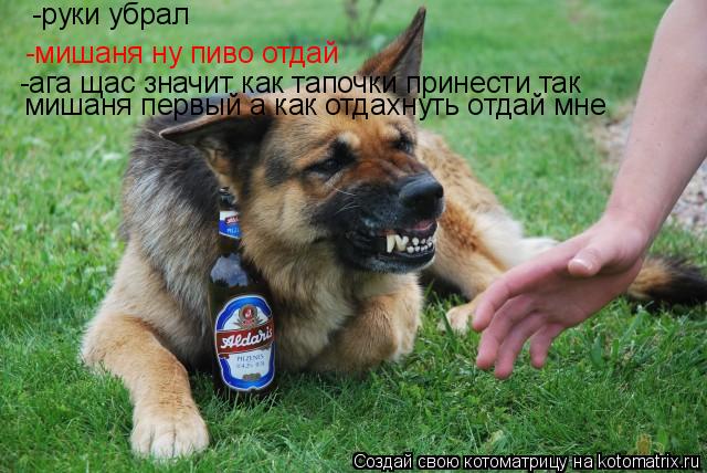 -руки убрал -мишаня ну пиво отдай -ага щас значит как тапочки принести так мишаня первый а как отдах... Котоматрица: -руки убрал -мишаня ну пиво отдай -ага щас значит как тапочки принести так мишаня первый а как отдахнуть отдай мне