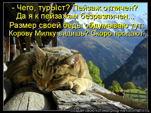 Котоматрица: - Чего, турЫст? Пейзаж отличен? Да я к пейзажам безразличен... Размер своей беды обдумываю тут: Корову Милку видишь? Скоро продают...