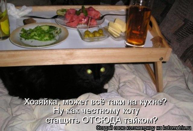 Котоматрица: Хозяйка, может всё таки на кухне? Ну как честному коту стащить ОТСЮДА тайком?