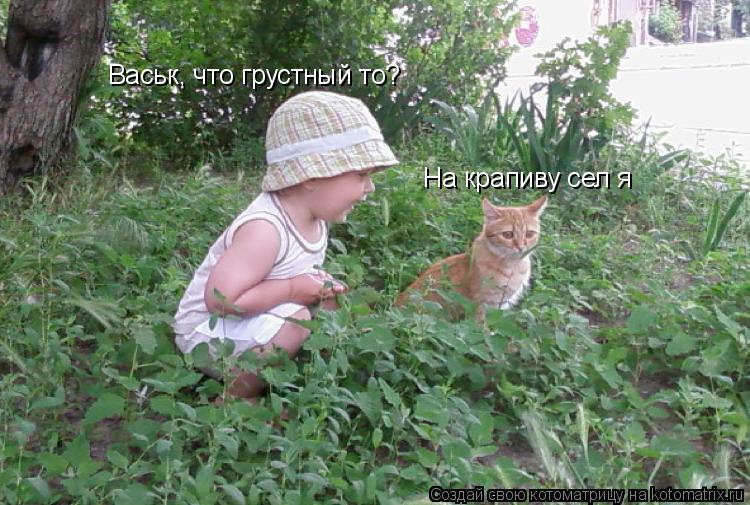 Котоматрица: Васьк, что грустный то? На крапиву сел я