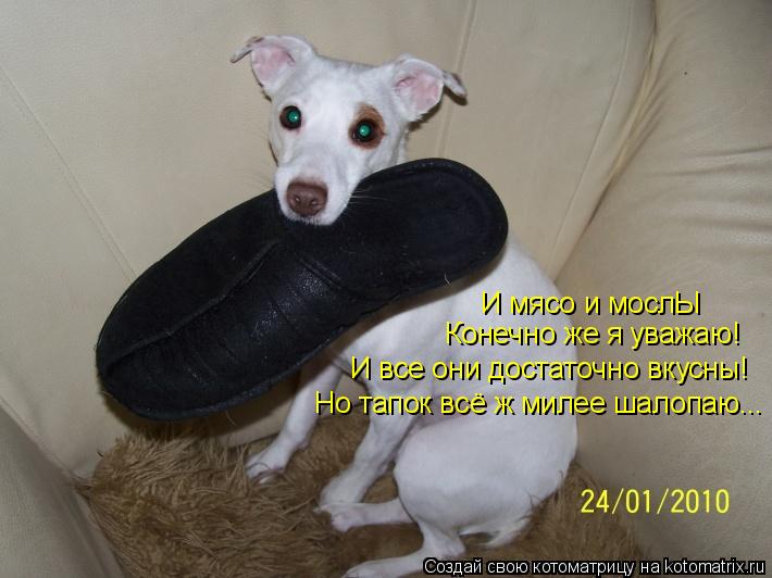 Котоматрица: И мясо и мослЫ Конечно же я уважаю! И все они достаточно вкусны! Но тапок всё ж милее шалопаю...