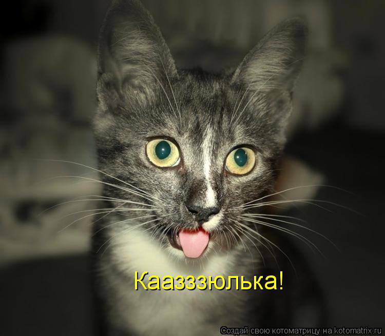 Котоматрица: Каазззюлька!