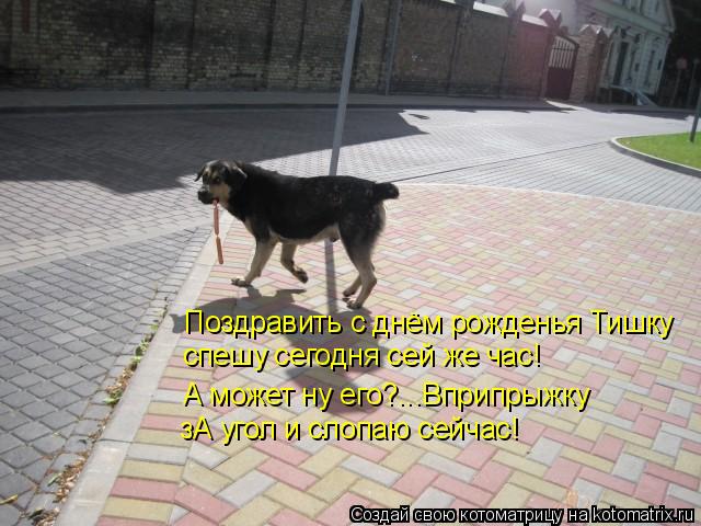 Котоматрица: Поздравить с днём рожденья Тишку спешу сегодня сей же час! А может ну его?...Вприпрыжку зА угол и слопаю сейчас!