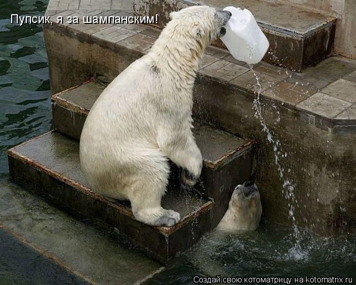 Пупсик, я за шампанским!... Котоматрица: Пупсик, я за шампанским!