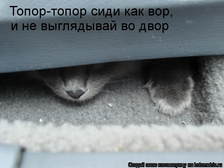 Котоматрица: Топор-топор сиди как вор, и не выглядывай во двор