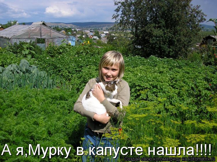 А я,Мурку в капусте нашла!!!!... Котоматрица: А я,Мурку в капусте нашла!!!!