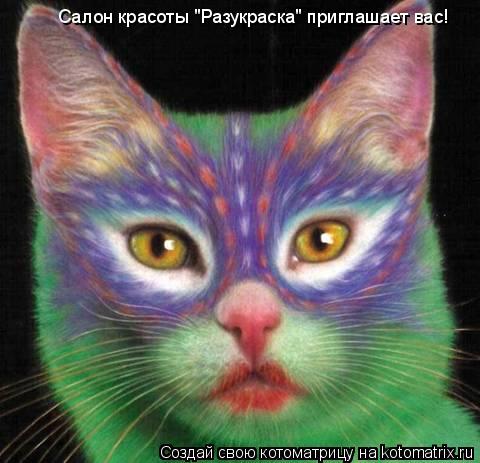 Котоматрица: Салон красоты "Разукраска" приглашает вас!