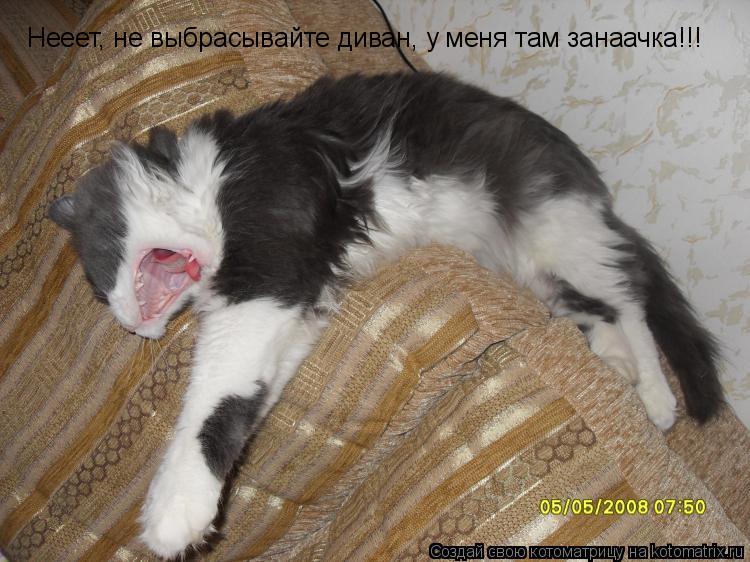 Котоматрица: Нееет, не выбрасывайте диван, у меня там занаачка!!!