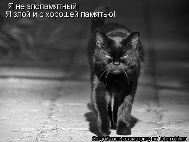Я не злопамятный! Я злой и с хорошей памятью!... Котоматрица: Я не злопамятный! Я злой и с хорошей памятью!