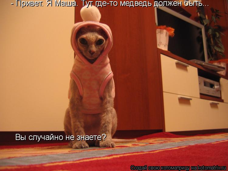 - Привет. Я Маша. Тут где-то медведь должен быть... Вы случайно не знаете?... Котоматрица: - Привет. Я Маша. Тут где-то медведь должен быть... Вы случайно не знаете?
