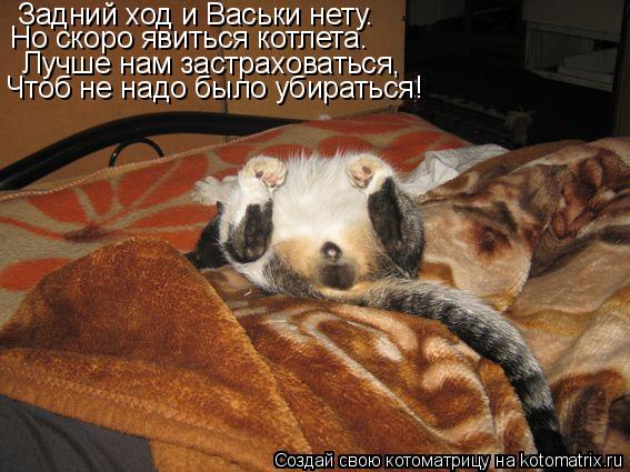 Задний ход и Васьки нету. Но скоро явиться котлета. Лучше нам застраховаться, Чтоб не надо было убира... Котоматрица: Задний ход и Васьки нету. Но скоро явиться котлета. Лучше нам застраховаться, Чтоб не надо было убираться!